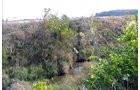 TRACT 3 - LAND AUCTION - 180+/- ACRES OFFERED IN 5 TRACTS IN WHITE COUNTY, INDIANA